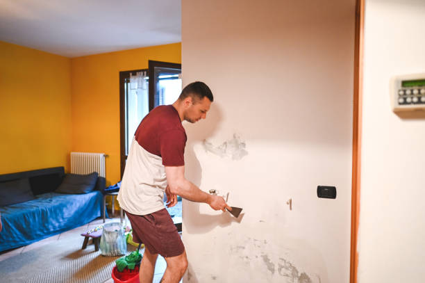 Best Post-Flood Mold Remediation in Medfd, OR